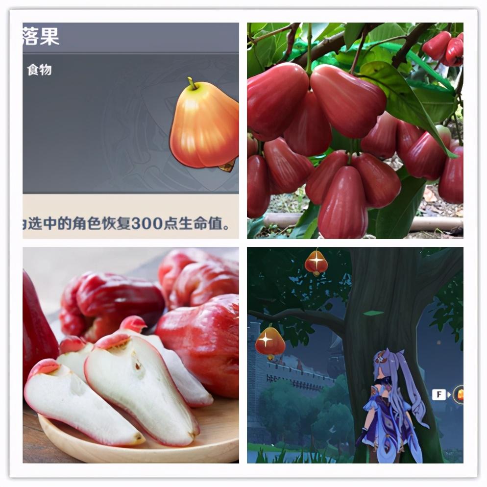 原神100种特产怎么收集（什么角色能看到劫波莲）
