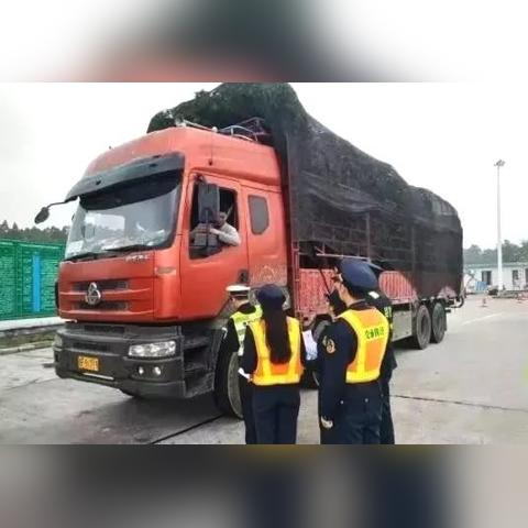 大连市什么时候限行