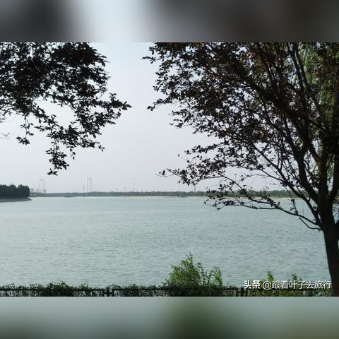 济南市自己交两险多少钱