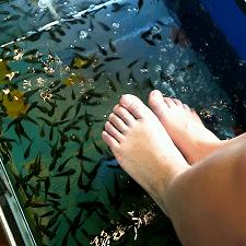 合肥市足浴店哪个离我近