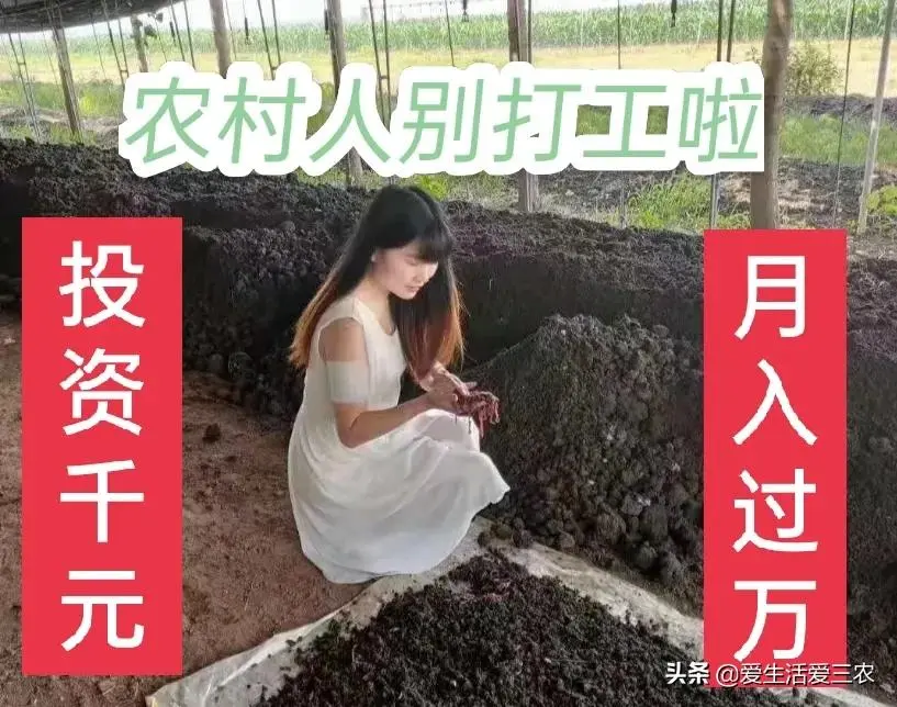 无人直播如何创业防骗项目 无人直播怎么创业防骗项目