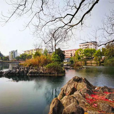 桂林市全州车哪里坐