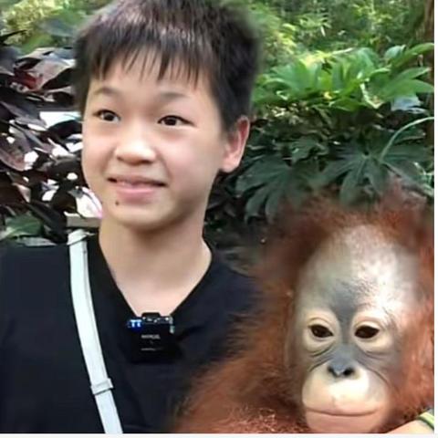 全红婵老家在广州市什么地方