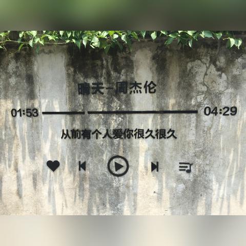 桉厦门的相关长尾关键词有哪些