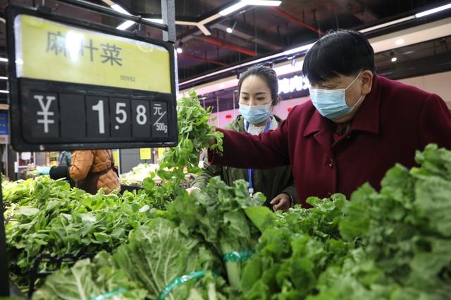 即将租房开始独居需要准备什么