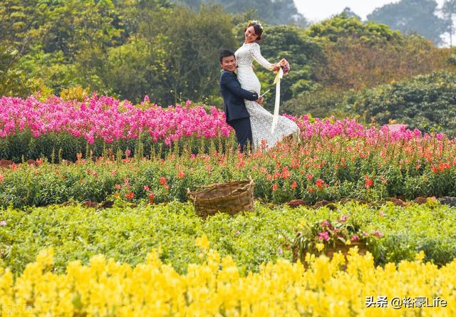 春季带宝宝赏花要注意什么