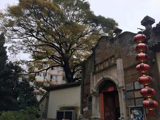 昆明一极冷门景点，翠湖旁一会馆气势宏伟，名气小游客过门不入