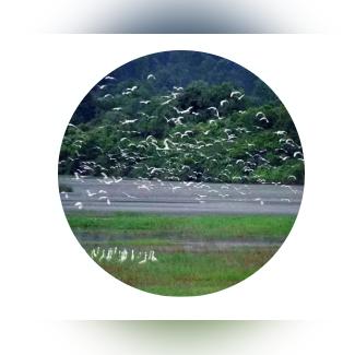 佛山市高明区二手别墅带院子的长尾关键词有什么