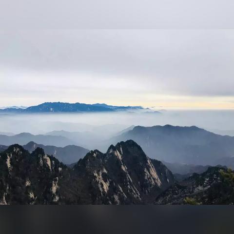 深圳市金悠然公司怎么样