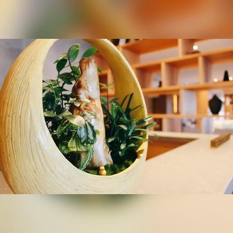 2025.11.29苏州今天空气质量指数怎么样