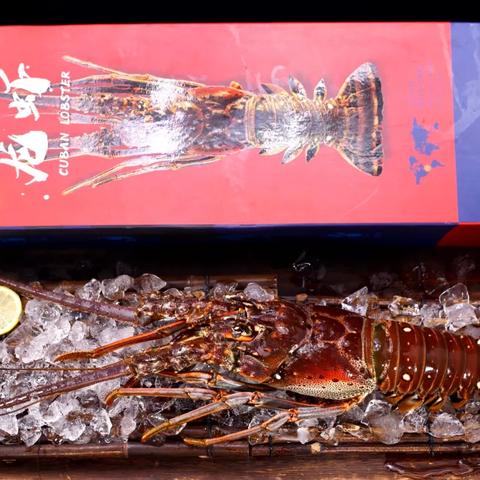 辽宁大连市龙虾馆在哪个位置