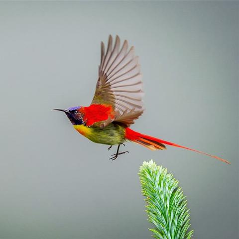 济南 万筑相关长尾关键词有哪些