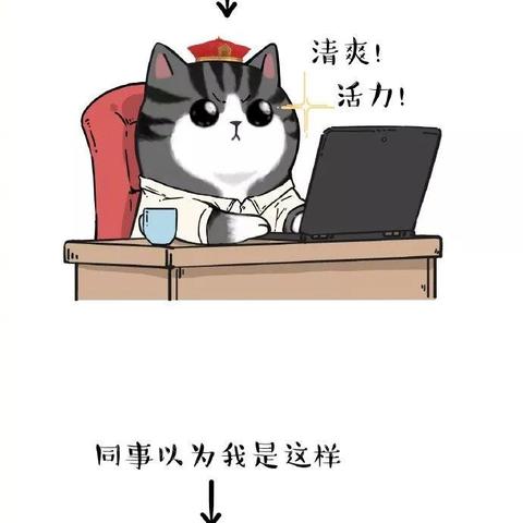 杭州吾皇驾到的相关长尾关键词有哪些
