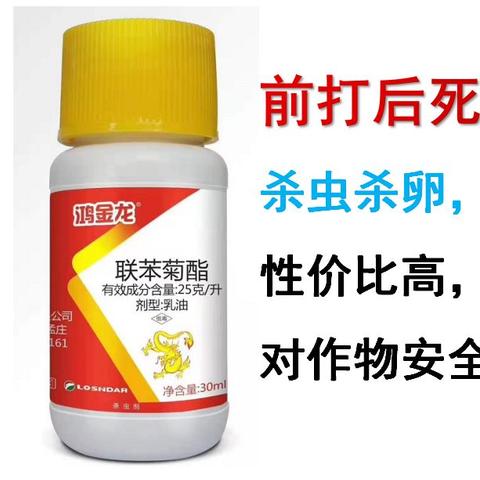 兰州金龙烟的相关长尾关键词有哪些
