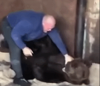 怎么制服熊孩子?