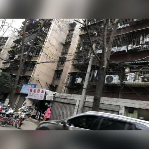 武汉市新华路中学哪个区