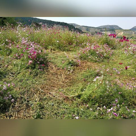 济南市哪个地区离海最近