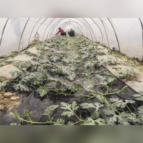 广东在陕西的哪个方向？