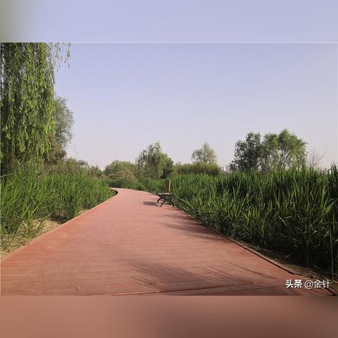 兰州市的公园哪个大