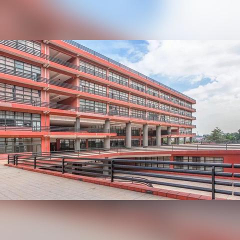 广州市有什么本科学校吗