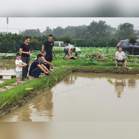 我在灵川怎么回桂林市