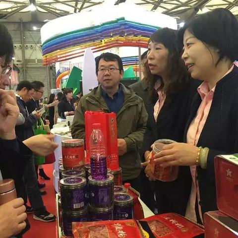 光大国旅是哪年创办？