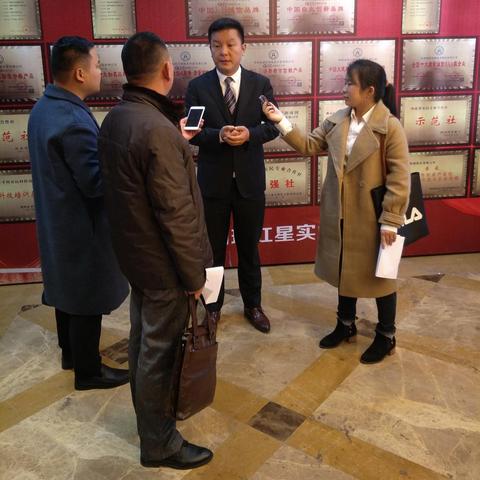 河南的鸽子怎么样