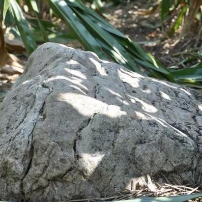 潍坊市海平面是多少