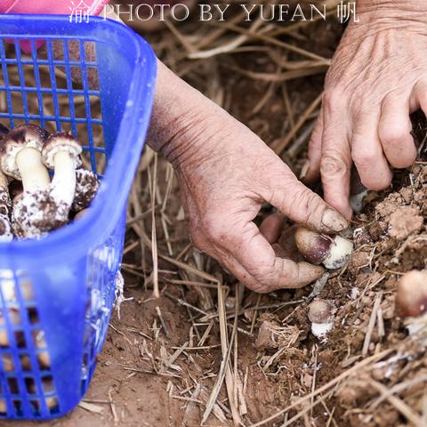 10月重庆天气怎么样