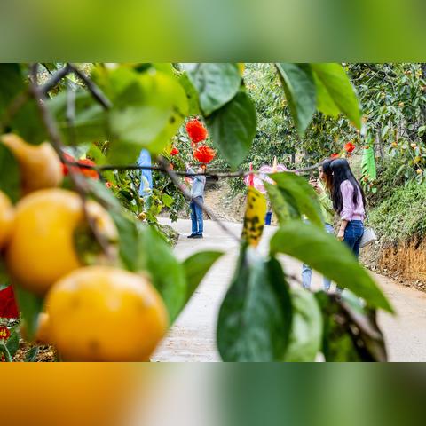 桂林市宽带哪个便宜