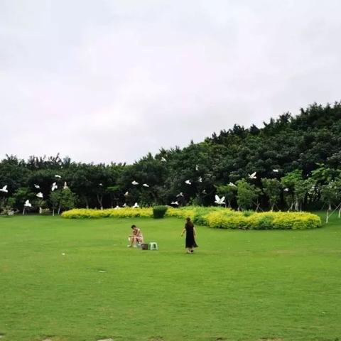 厦门市音乐广场怎么样