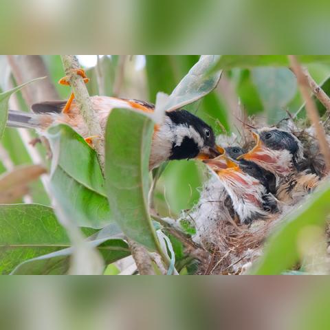 济南余家相关长尾关键词有哪些
