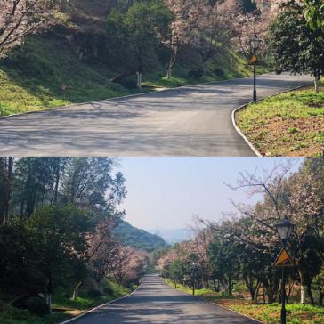 宁波市住哪个酒店