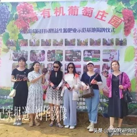 石家庄市葡萄庄园在哪里