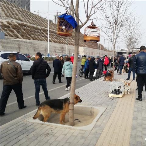 兰州市哪里能买乌龟