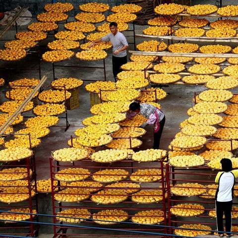 南宁市平乐村属于哪个镇