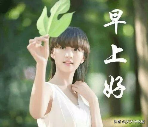天冷加衣服的温暖祝福语大全