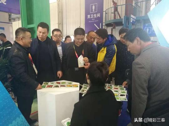 华州区下庙镇组织镇村干部赴杨凌农高会参观学习