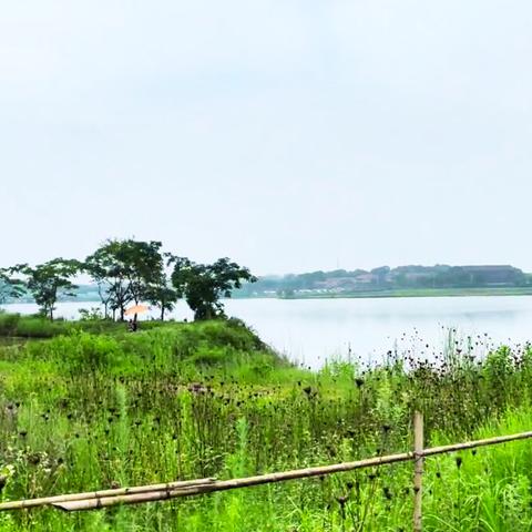武汉市新路村是哪个区