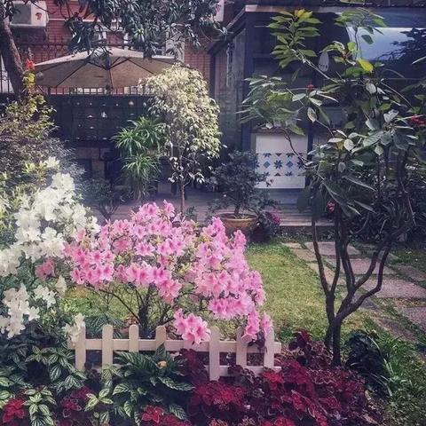 厦门小诗的相关长尾关键词有哪些