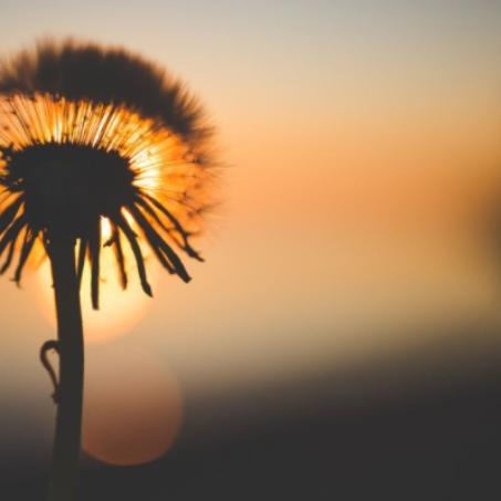 跨境电商亚马逊如何运营的相关长尾关键词是那些