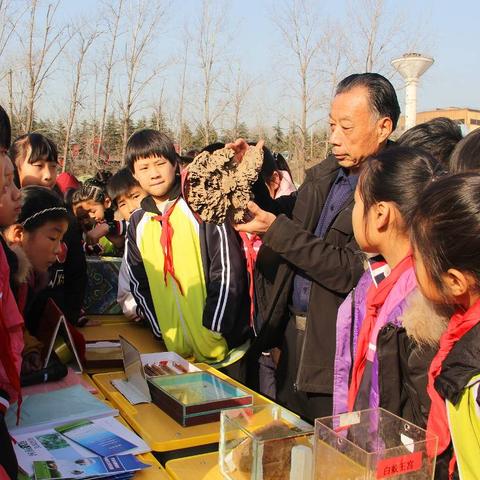 河南学生在家吃什么菜