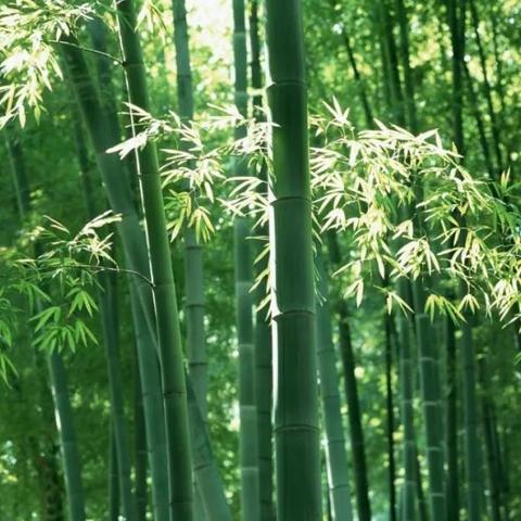 临沂市万达机械厂电话的长尾关键词有哪些