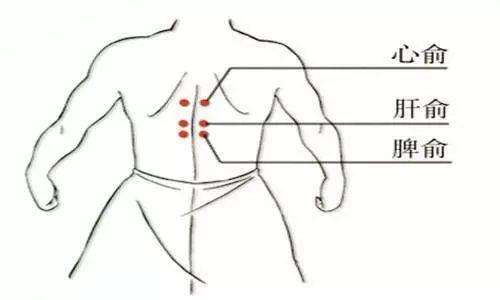 九种体质辨识与调理视频