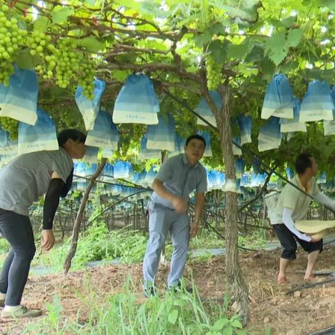 厦门至新干的相关长尾关键词有哪些