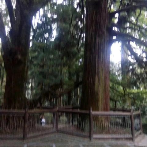 厦门至温州动车的相关长尾关键词有哪些