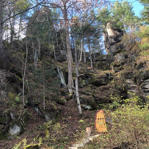 哈尔滨绿码突然变红码是怎么回事？