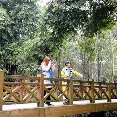 福建光明资产评估公司的相关长尾关键词有哪些