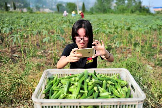 近2年，农村重新火起来的3个致富小生意，你适合干哪样？