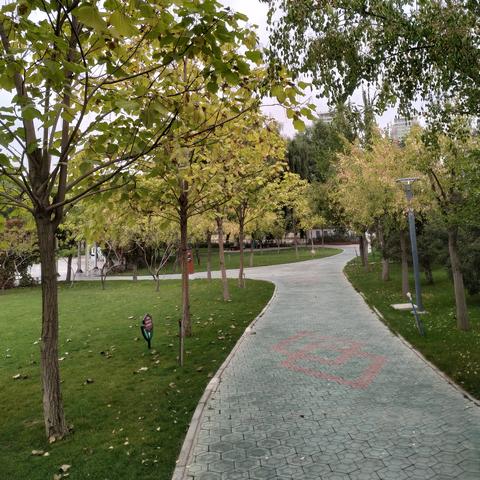 兰州市的百合市场在哪里